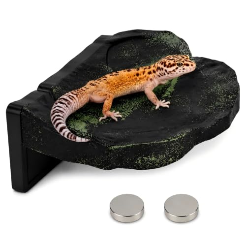 Magnetic Gecko Climbing Platform, Reptile Climbing Ledge, Crested Gecko Tank Accessories, Elevated Terrarium Platform for Geckos, Crested Geckos, Tree Frogs and Lizards