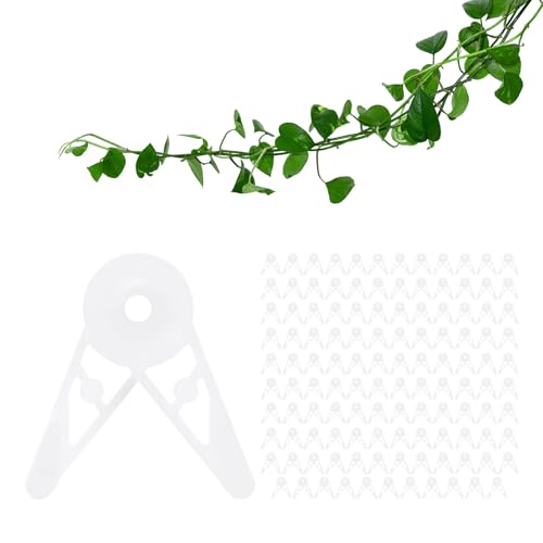 M METERXITY 120-Pack Adjustable Plant Clips, 360 Degree Plant Training Clips, Plant Stem Bender Training Clips for Low Stress Training/Plant Ties/Gardening Accessories [White] - color: White