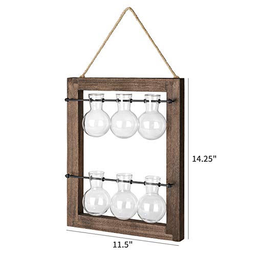 Mkono Double Layer Wall Hanging Glass Planter and Air Plant Frame Hanging, Modern Novel Flower Bulb Vase Plant Terrarium with Retro Wooden Stand, Plants Home Garden Office Decor(Plant Not Included)
