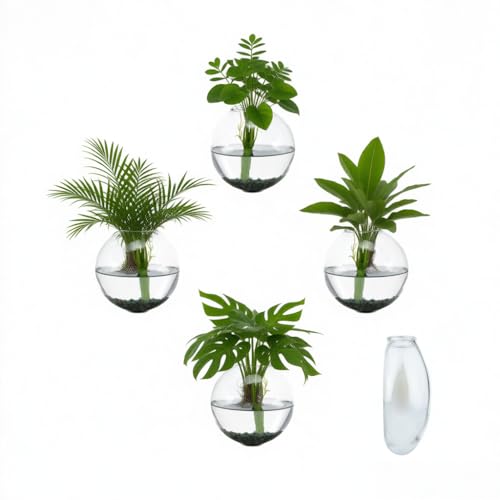 4 pcs Glass Wall Hanging Planter, Oval Terrarium Vase, Propagation Station for Hydroponics, Indoor Plants, Home Office Decor (Medium) - size: Medium