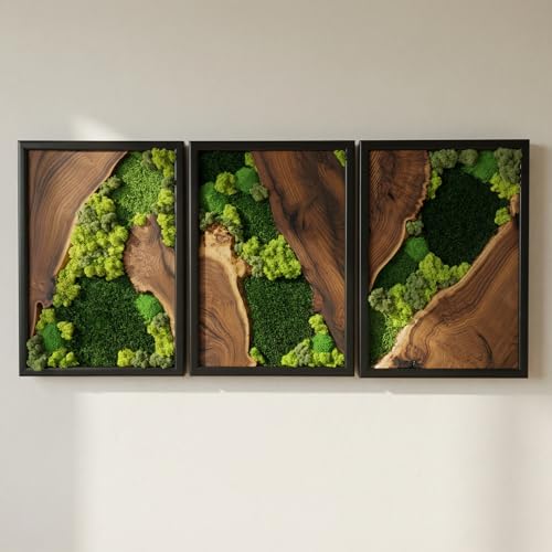 Moss Wall Decor Preserved Moss Art in Solid Cedar Wood Frame | Natural Wooden Wall Decor for Living Room, Office, Home | Zero Maintenance Gift for Nature Lovers 3 Pieces - color: Set of 3