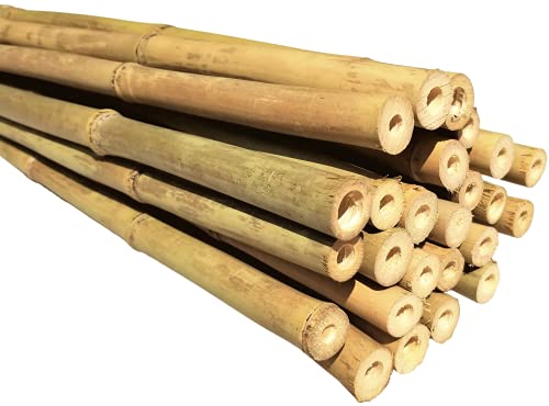 Natural Bamboo Poles, Eco-Friendly Plant Support Garden Stakes 6ft Long, Diameter of 5/8" (25-Count) - size: 6 ft, 5/8" Diameter (25-Count)