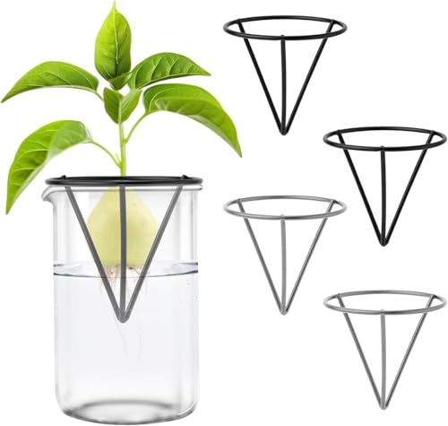 Avocado Seed Starter Vase Rack 4Pcs Jar Growing Kit Wide-Mouth | 4PCS avocado seed starter rack, fits wide-mouth mason jars, clear vase growing kit, easy seed germination display