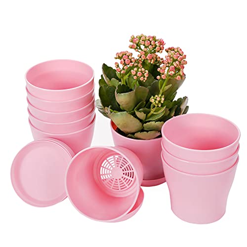 TDHDIKE 10 Pcs Plastic Planters Indoor Flower Plant Pots (Pink) | Mini Seedlings Nursery Pot with Pallet, Modern Decorative Gardening Containers - color: Pink