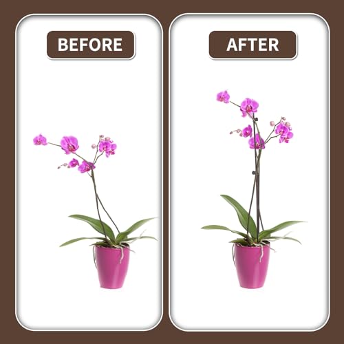 10Pcs Plant Support Stakes with 15Pcs Plant Clips, 16inch Plant Sticks - color: Brown-16inch