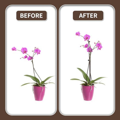 10Pcs Plant Support Stakes with 15Pcs Plant Clips, 16inch Plant Sticks - color: Brown-16inch