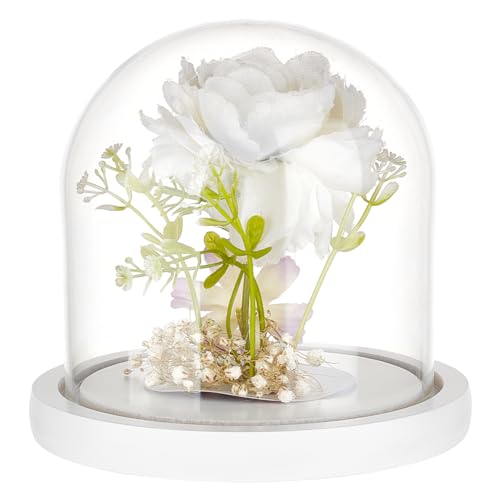 BENECREAT 5x5 Inch White Lacquered Glass Dome Cloche Wooden Display Dome, Clear Glass Cloche Bell Jar for DIY Flower Craft, Christmas Decorations