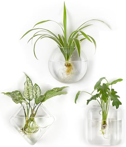 Mkono Wall Propagation Planters Hanging Glass Plant Vase Holder, 3 Pack