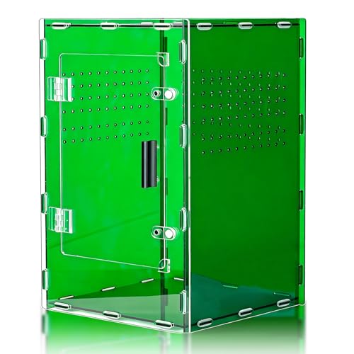 8x8x12 Deep Green Acrylic Terrarium Vertical for Spider Reptile - color: DeepGreen