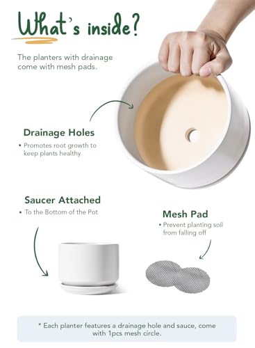 LE TAUCI Ceramic Pots for Plants, 4.3+5.3+6.8 Inch Plant Pots, Indoor Planters with Drainage Hole and Saucer for Succulents, Herbs and Flowers, Set of 3, Satin, White - color: White