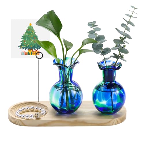 Hand Blown Glass Plant Propagation Stations Plant Terrarium Wooden Stand for Hydroponic Plants Combine Jewelry Tray and Photo Holder Office Home Garden Decor - 2 Bulb Glass Vases