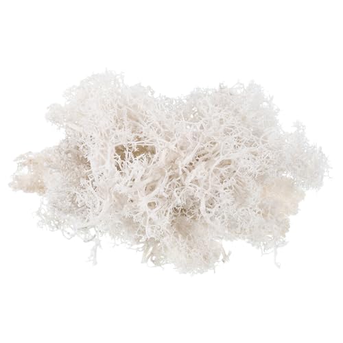 0.35 OZ Moss Fake Craft Moss Artificial Moss Natural Preserved Moss for Craft Arts Floral DIY Project Wall Wedding Garden Patio Table Terrariums Decoration(White) - color: White