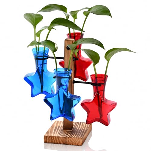 Plant Terrarium Propagation Station: Red Blue Vase with Wooden Stand | Patriotic Star Glass, Home Table Decor,250th Anniversary Memorial Day, 4th of July,Birthday Gifts for Plant Lovers Women Mom - color: Red Blue