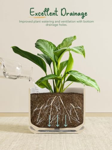 LE TAUCI Ceramic Pots for Plants, 4.3+5.3+6.8 Inch Plant Pots, Indoor Planters with Drainage Hole and Saucer for Succulents, Herbs and Flowers, Set of 3, Satin, White - color: White