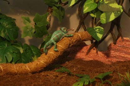 AQUA KT Reptile Climbing Vine Terrarium Bendable Branch for Bearded Dragon | Lizard Snake Climber Stick Leopard Gecko Tree Branch Coconut Fiber Rope Amphibian Terrarium Habitat Decoration