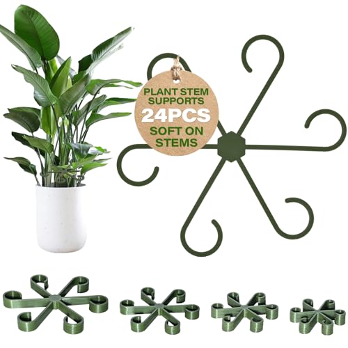 24PCS Forest Green Plant Stem Support, Invisible Stem Supports for Indoor Plants, Monstera Plant Support for Healthy Growth, 4 Sizes Climbing Houseplant Holders, Reusable Plant Accessories - color: Forest Green