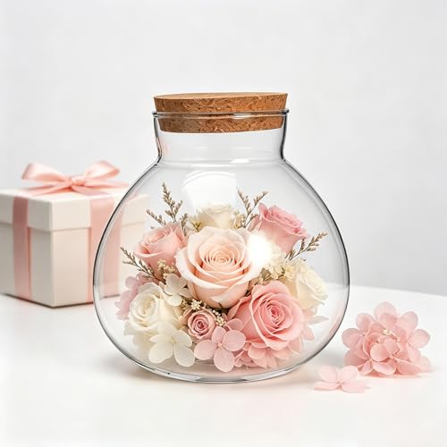 NUOBESTY 2 Pack Glass Terrarium Jar with Cork Lid, 6x6.3 Inch Closed Terrarium for Succulent Moss and Fern, DIY Miniature Desktop Garden for Home & Office Decor (No Plants)