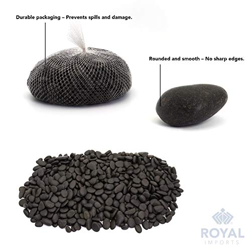 Royal Imports River Rocks, Aquarium Gravel – Black 1"- 1.5" - 30 lbs | Decorative Ornamental Vase Filler Pebbles for Potted Plants, Terrariums, Vases, Succulents, Fish Tank Gravel, DIY & Crafting - size: 1"- 1.5" - 30 lbs, style: Black