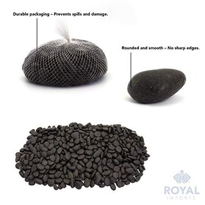 Royal Imports River Rocks, Aquarium Gravel – Black 1"- 1.5" - 30 lbs | Decorative Ornamental Vase Filler Pebbles for Potted Plants, Terrariums, Vases, Succulents, Fish Tank Gravel, DIY & Crafting - size: 1"- 1.5" - 30 lbs, style: Black