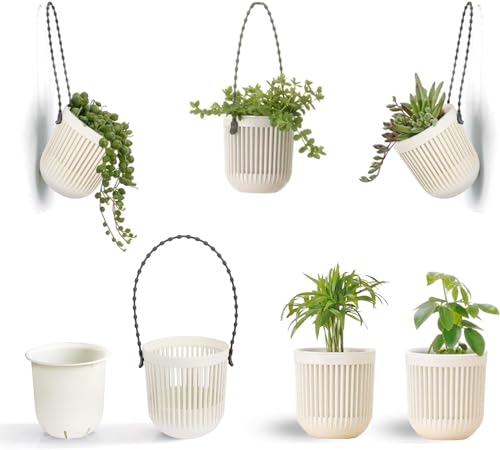 Succulent Tools and Plastic Succulent Pots