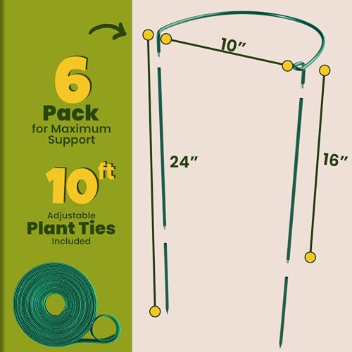 6 Pack Plant Support Stakes – Peony Cages and Supports –10" W x 16" - 24" H | Tall Plant Stakes for Indoor and Outdoor Gardens – Cage Rings for Potted Flowers, Peony, Hydrangea, and Rose Bush - size: 6 Pack