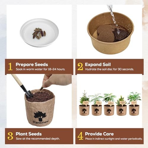 Christmas Gifts & Crafts for Adults - Bonsai Tree Starter Kit with 5 Unique Japanese Trees | Complete DIY Gardening Kit for Birthday | Gifts for Women, Men, Mom, Dad, Plant Lovers