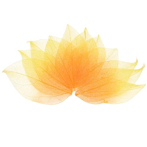M METERXITY 100-Pack Skeleton Leaves, Natural Rubber Tree Dried Pressed Leaves Vein for Resin/DIY Crafts Card/Scrapbook/Wedding, Small Leaves Decorative [4-6cm, Yellow Tangerine] - color: Yellow Tangerine