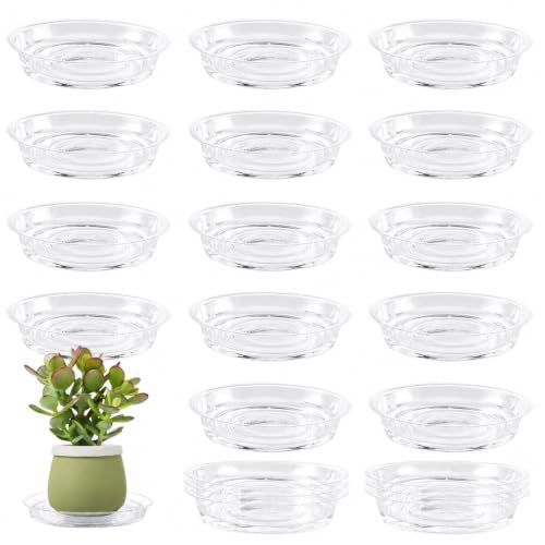 20 Pack 6 Inch Plant Saucers Clear Plastic Plant Saucer Drip Trays Small Plant Plate Dish for Indoor Flower Pots and Planters, Bulk - color: Clear, size: 6 inch: 20 pcs