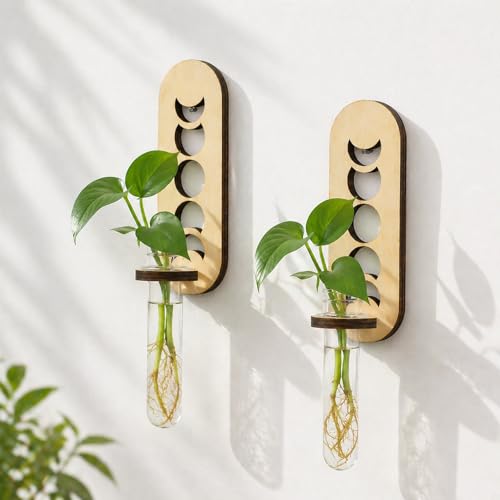 Artilady Plant Propagation Station Wall Hanging, Planter Terrariums Tube | Boho Wood Air Plant Holder for Indoor Plants, Window Propagation Stations Vases for Living Room Bedroom Wall Decor, 2 Pack - color: Moon phase