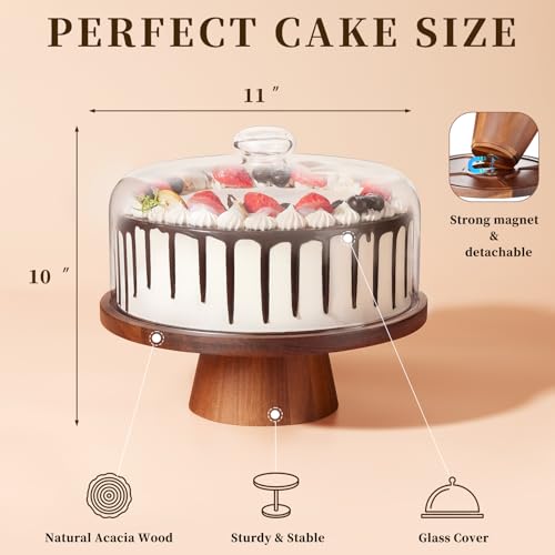 VIVIRBIEN Wooden Cake Stand with Lid: 11in Stand w/Magnetic Pedestal | Durable Glass Dome-Solid Acacia Holder-Multi-use for Dessert/Cupcake-Ideal for Kitchen/Birthday/Party/Decor/Charcuterie