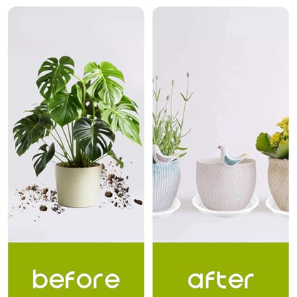 100 Pack Plastic Plant Saucers 6 Inch Clear Plant Water Trays | Durable Plastic Flower Pot Saucers, Plant Drip Trays, Suitable for Indoor and Outdoor Plants, Lightweight, Home Decor
