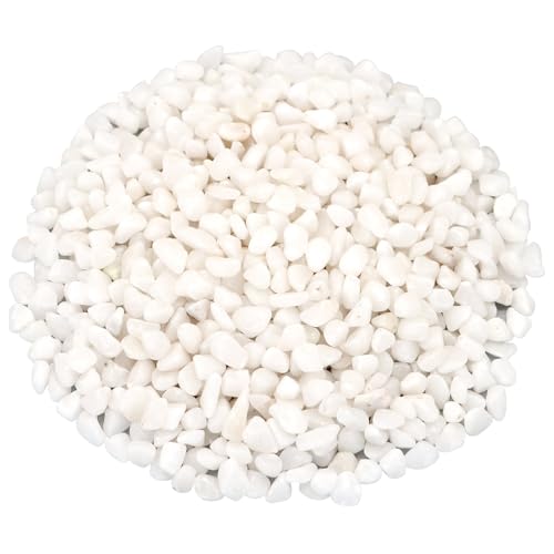Landscaping Pebbles, White River Rocks, Ornamental Decor Stones, 1 Pound | Ornamental Gravel Filler For Flower Bed, Fish Tank, Plants, Vases, Succulents, Home & Garden Landscaping Decoration - color: White, size: 1 Pound