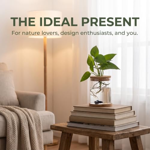 Propagation Stations, Desktop Plant Terrarium Glass Hydroponic Vases, Water Plant Jars, Gardening Gifts for Women Mom Plant Lovers, for Hydroponics Home Garden Office Decoration