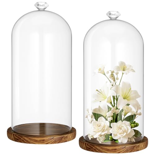 2 Pcs 6 x 10 Inch Cloche Glass Dome with Base Bell Jar, Dark Brown | Tall 6x10 Inch Bell Jar, Clear Glass Cloches for Flowers Plants Candle Collectibles, Tabletop Display Case for Figurines - color: Dark Brown