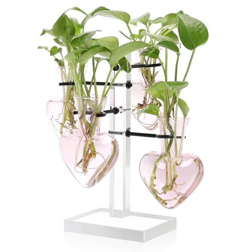 Plants Propagation Stations Plant Terrarium Kit Gift for Women - color: Pink