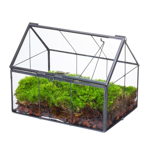 NCYP Mini Glass Terrarium with Lid - 6.1" x 4.25" x 4.92" House Shape Closed Planter for Ferns, Moss - Home Garden Office Tabletop Geometric Decor, Black (Terrarium Only) - size: 6.1x4.25x4.92 inches
