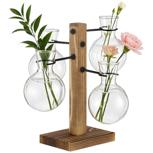 Hydroponic Plant Propagation Station, 4 Clear Round Glass Vases with Solid Wood Base, Mini Landscape Decor Set for Desktop Ornament, Home Garden Display, Ideal Choice for Plant Lovers