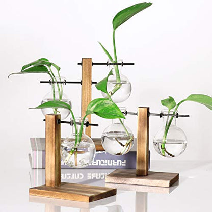 Kingbuy Hydroponic Glass Vase with Retro Wooden Stand - size: B（2 Bulb Vase）