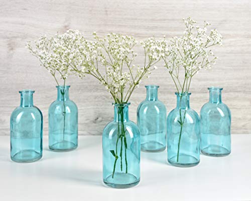 Serene Spaces Living 6-Piece Medicine Bottle Vases for Long Stem Flowers - Small Size, Turquoise Vases Set - color: Turquoise, Small, Set of 6