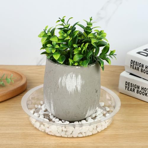 100 Pack Plastic Plant Saucers 6 Inch Clear Plant Water Trays | Durable Plastic Flower Pot Saucers, Plant Drip Trays, Suitable for Indoor and Outdoor Plants, Lightweight, Home Decor