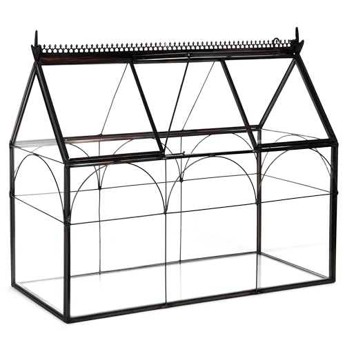 D'Eco Glass Greenhouse Plant Terrarium, Centerpiece & Wedding Letterbox | Tabletop Geometric Planter Terrarium, Dims 10x4.5x9", Fill with Succulents, Moss, Air Plants, Ferns & Seasonal Home Decor - size: Greenhouse