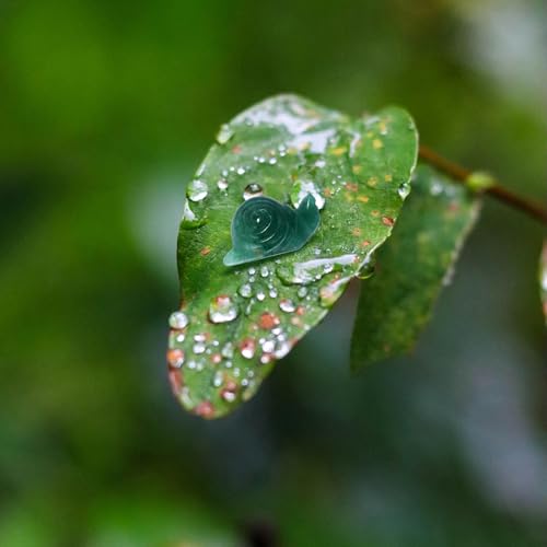 Kvekstio Cute Moss Agate Snail Figurine – Mini Crystal Snail Carving for Plant Lovers, Gardeners, Collectors, Adorable Green Thumb Desk Garden Lawn Decor, Unique Outdoor Decoration Gift