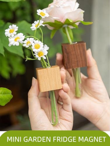 6PCS Mini Plant Propagation Station Set - Glass Test Tube Vases with Magnet and Adhesive Backed Wooden Holders for Window, Fridge, Wall, Office, Kitchen Decor, Home Plant Display