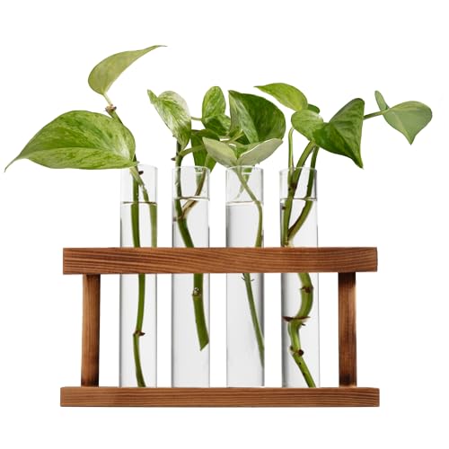 D'Eco Glass Plant Propagation Station, Set of 4 Tubes & Wood Display | Grow Hydroponics & Watch Them Grow Roots - Tabletop Vases for Home & Office Decor for Plant Lovers