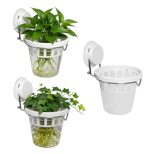 3-Pack Window Propagation Stations Hanging Clear Planter with Suction Cup - color: 3pcs