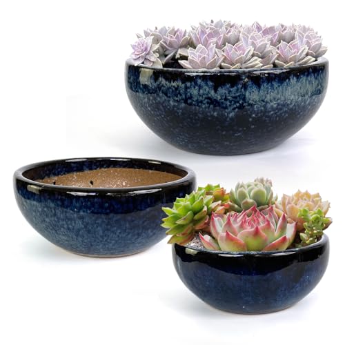 11 9 7 Inch Succulent Pot with Drainage and Mesh Pads Large Round Ceramic Plant Pot for Indoor Outdoor Plants Succulent Planter Cactus Bonsai Pot Container Set of 3 (Blue) - color: Blue Set of 3, size: 7, 9 & 11 Inch