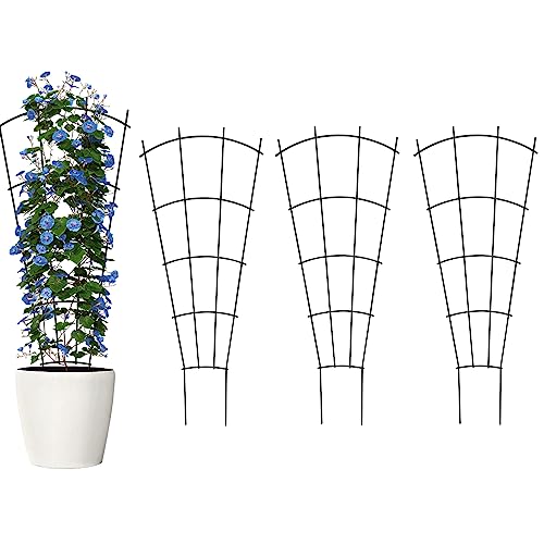 Thealyn 24" Metal Plant Trellis, Climbing Plant Support, 4 Pack Black - color: Black, size: 24 inch