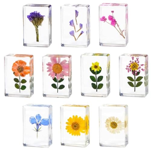 10 Pcs Flower Paperweight, Real Flower Specimen Pressed Flowers in Resin, Botanical Paperweights for Desk Decor, Science Education & Unique Display Supplies(Flower Set 1) - color: 10 Pcs Flower Set 1