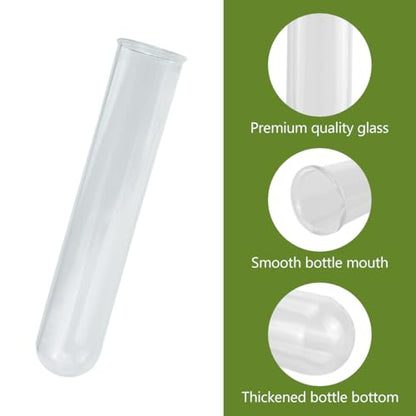 8 Pcs Glass Plant Propagation Test Tubes, Glass Tubes for Plants Plant Propagation Large Test Tube Tubes Hydroponic Test Tube for Hydroponic Flowers Home Office Desktop Decoration (15cm)
