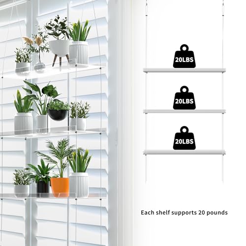 Jolitac Acrylic Window Boxes Plant Shelves for Windows, Acrylic Hanging Window Plant Shelves, Indoor Windows Wall Hanging Plant Stand Flower Display Shelves (Clear, 3-Tier) - size: 3-Tier